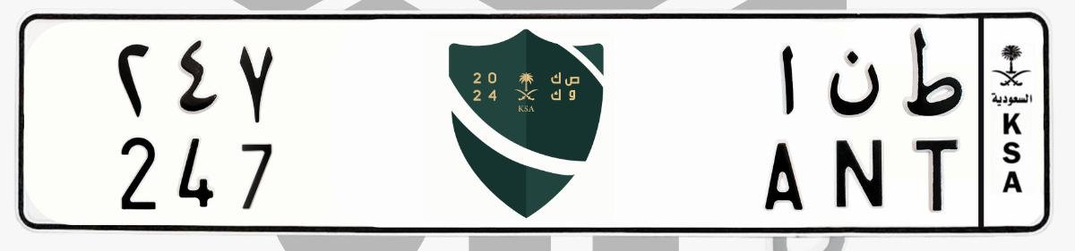 لوحة ط ن ا 247